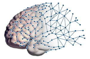 UCLA Brain Mapping Center